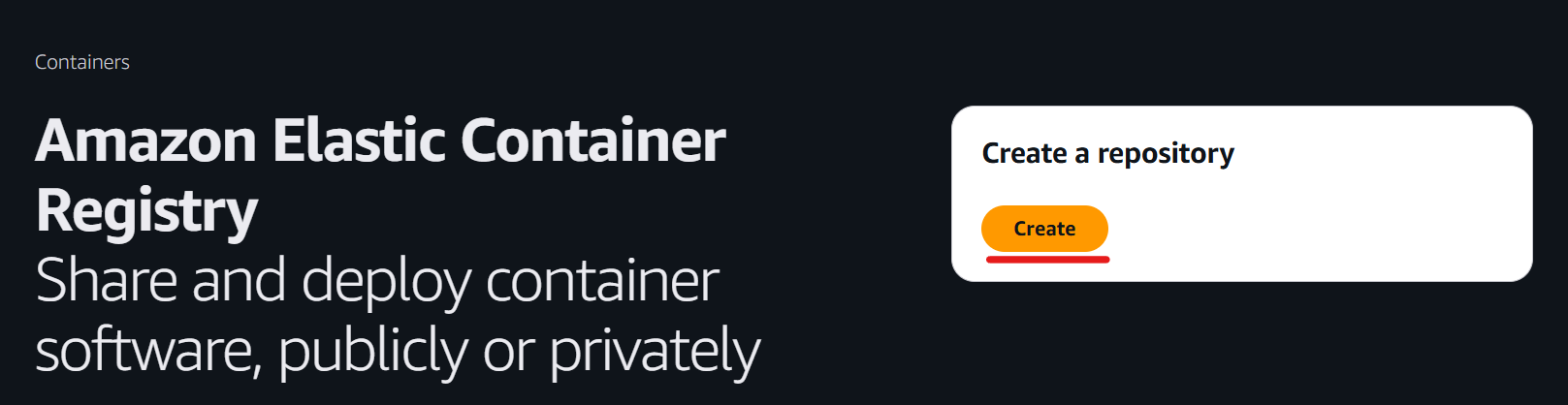 ECR on AWS Management Console